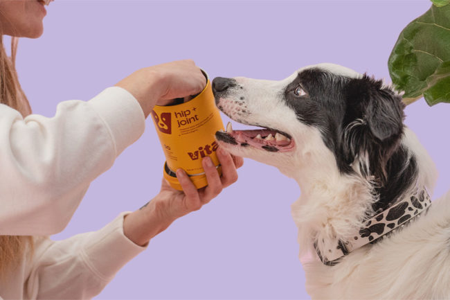 New pet wellness brand Vitail hits the market